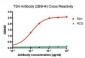 Anti-TSH Antibody (2B9H4)